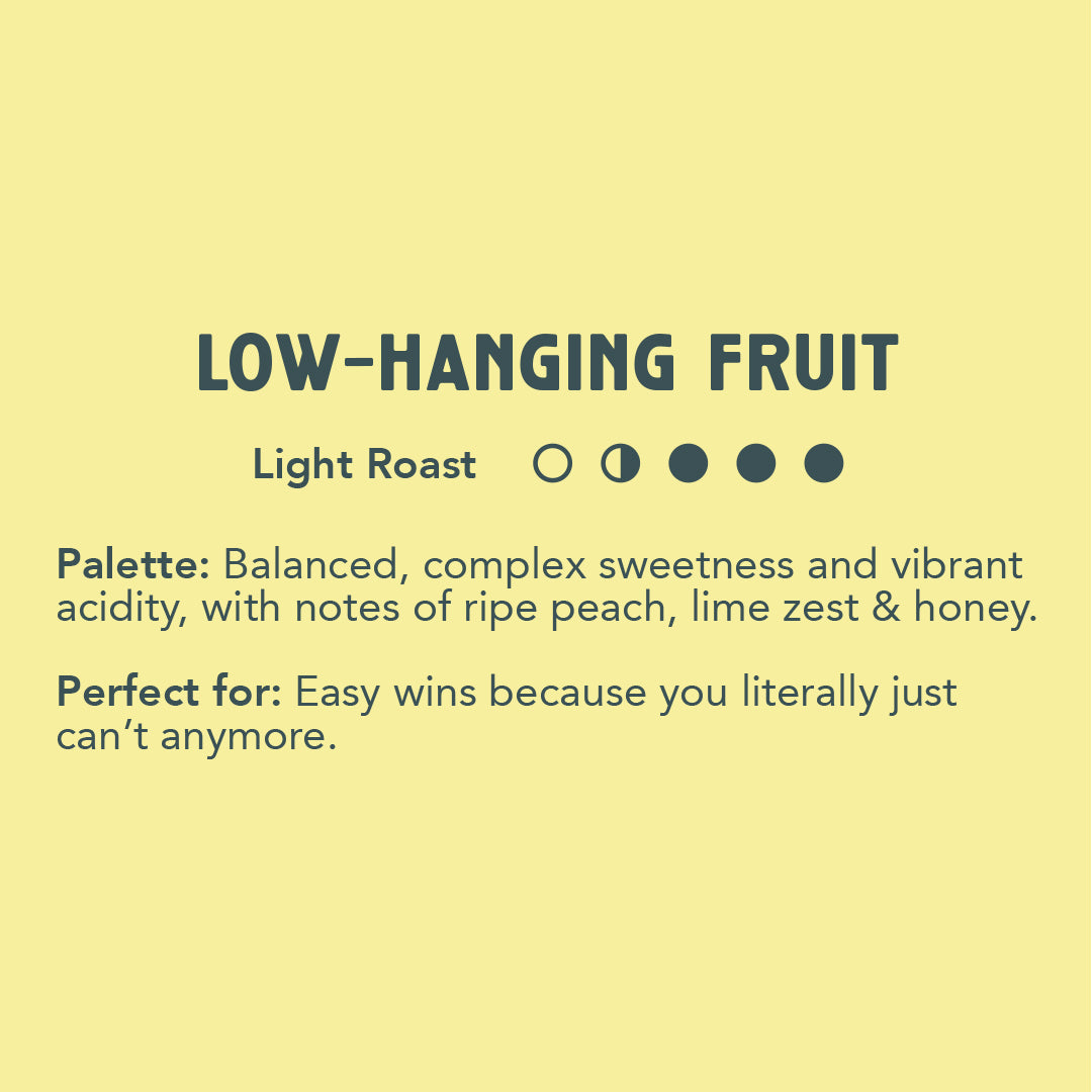 Low-Hanging Fruit - Light Roast image 1
