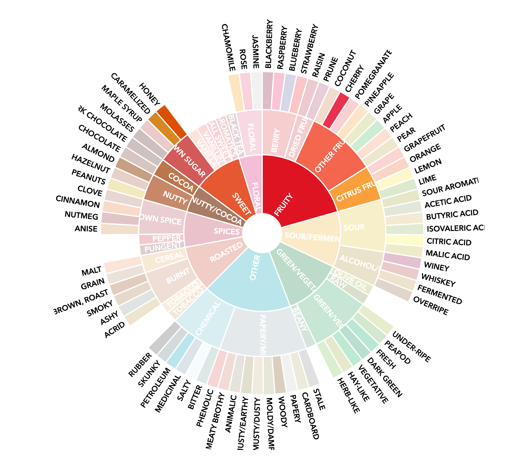 Taste profile wheel with various flavor descriptors and corresponding colors on a white background