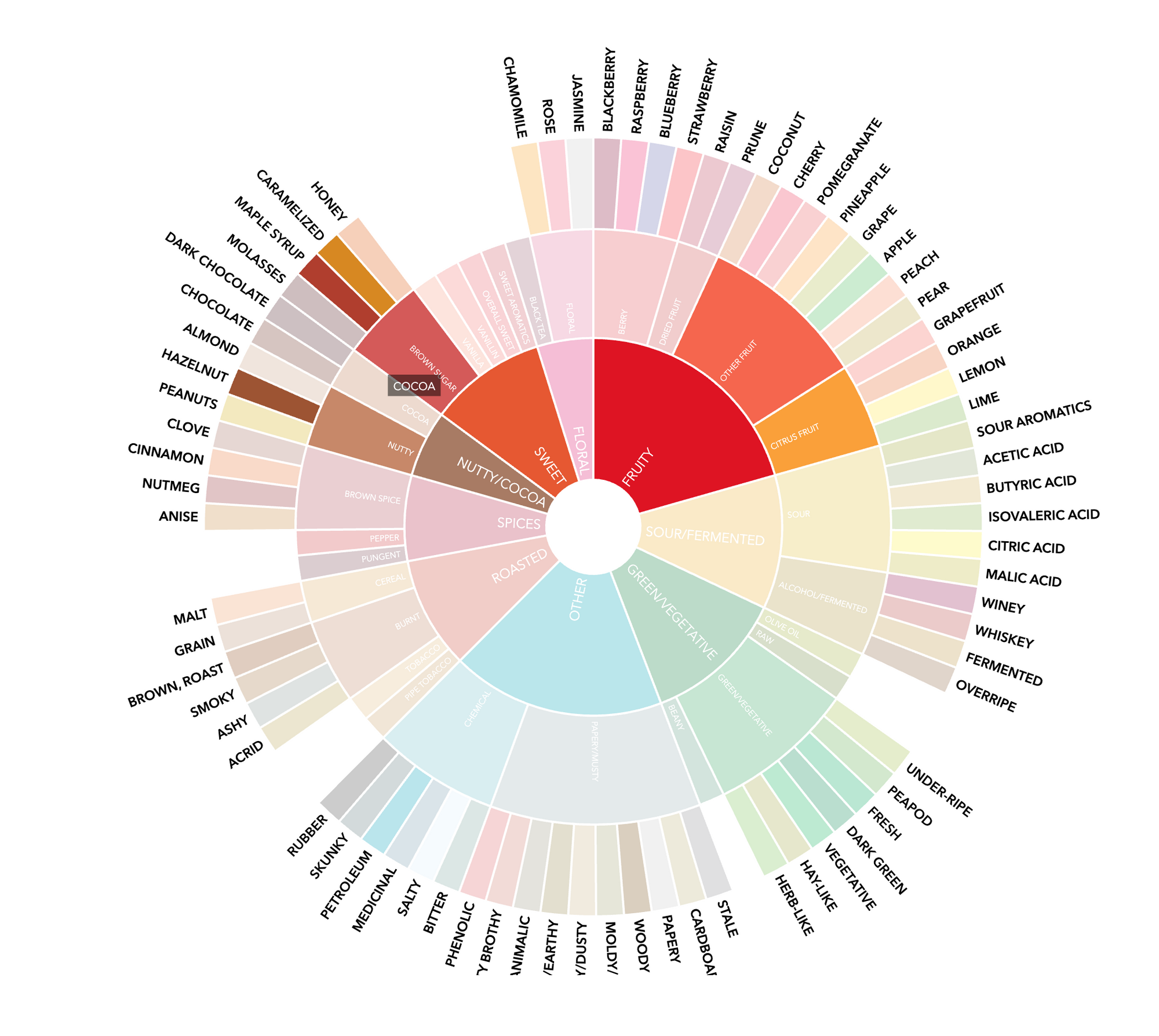 Color wheel with flavor descriptions on a white background