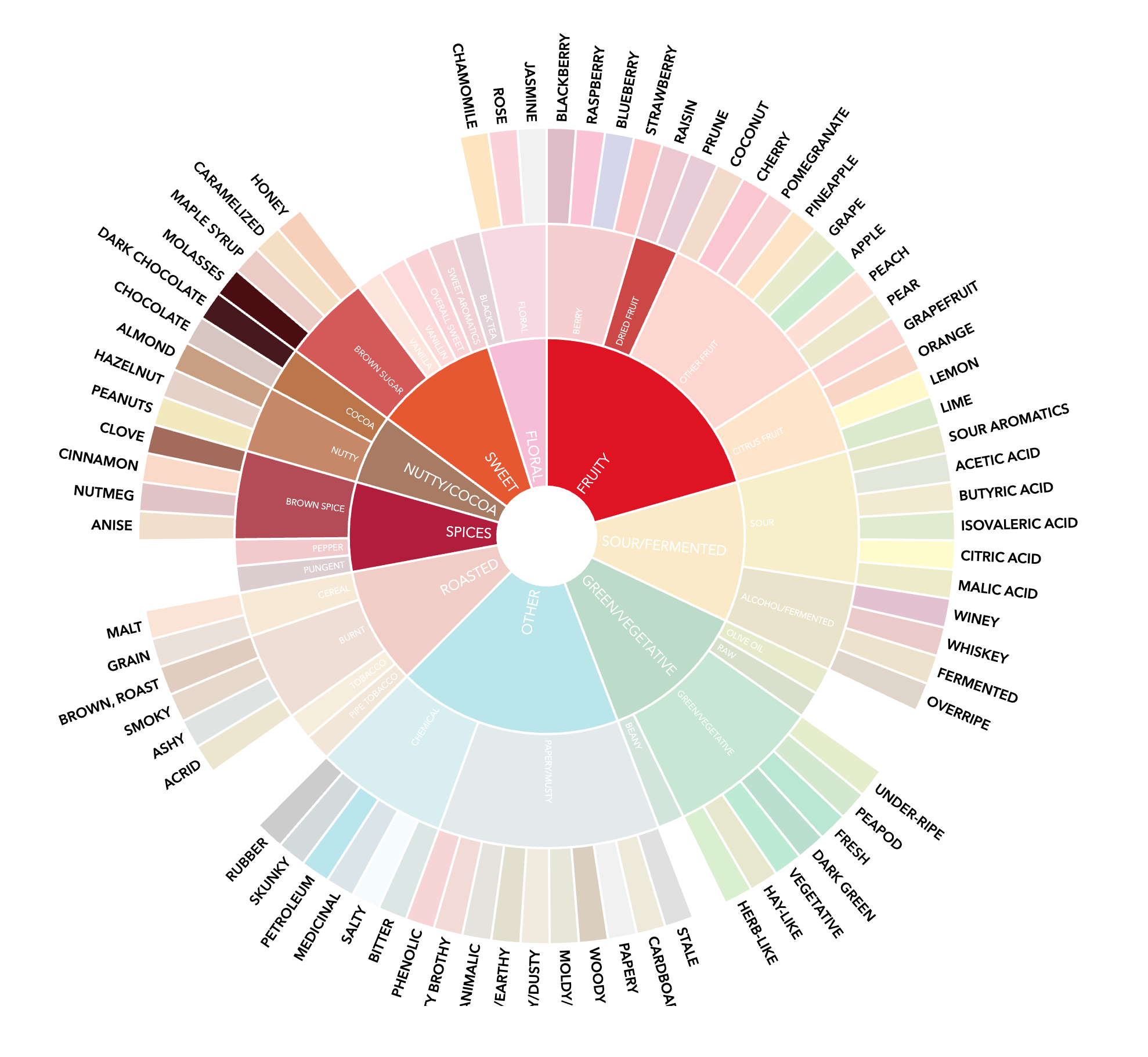 Dark Roast - Sullivan St