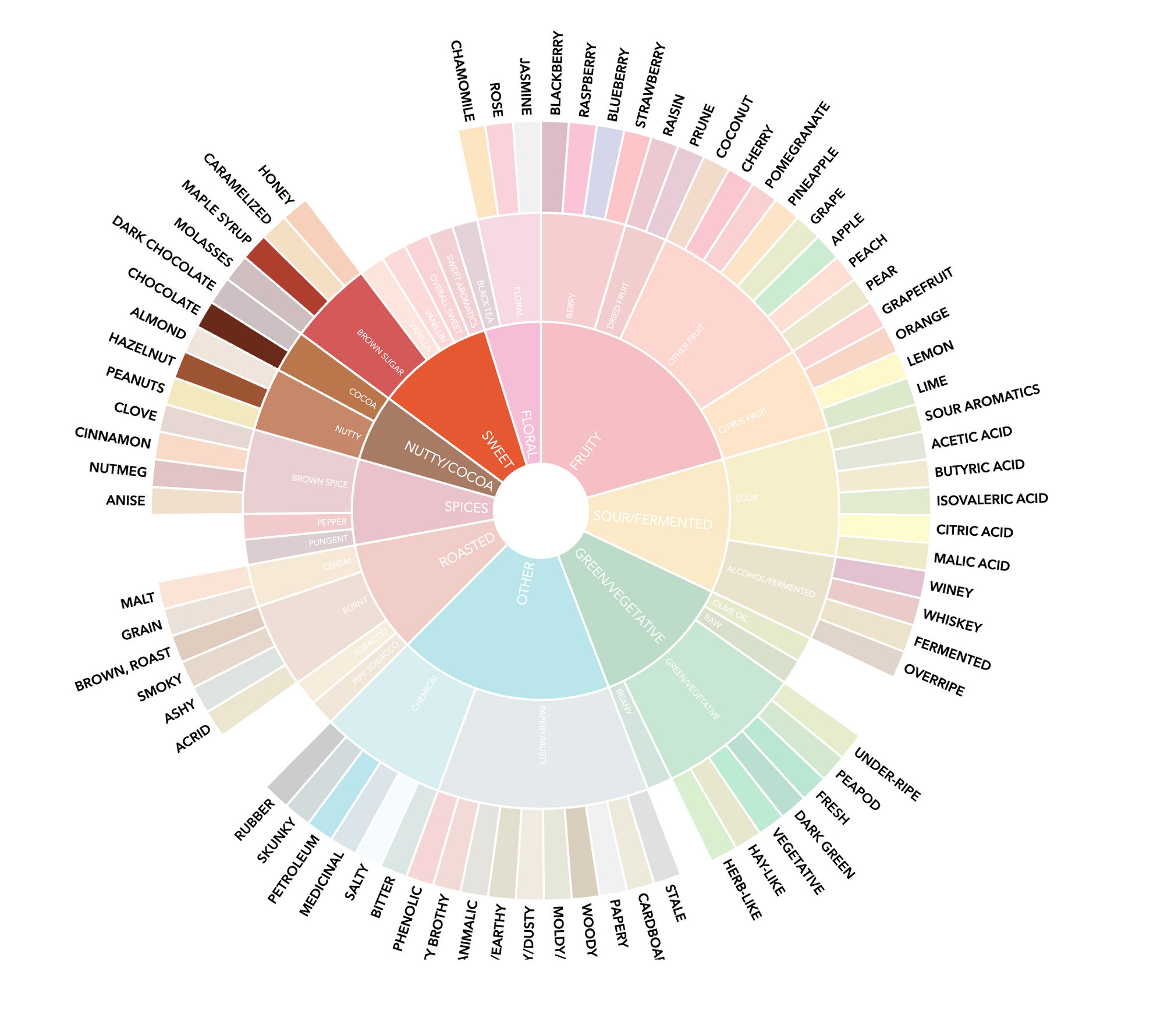 Espresso Blend - Momentum